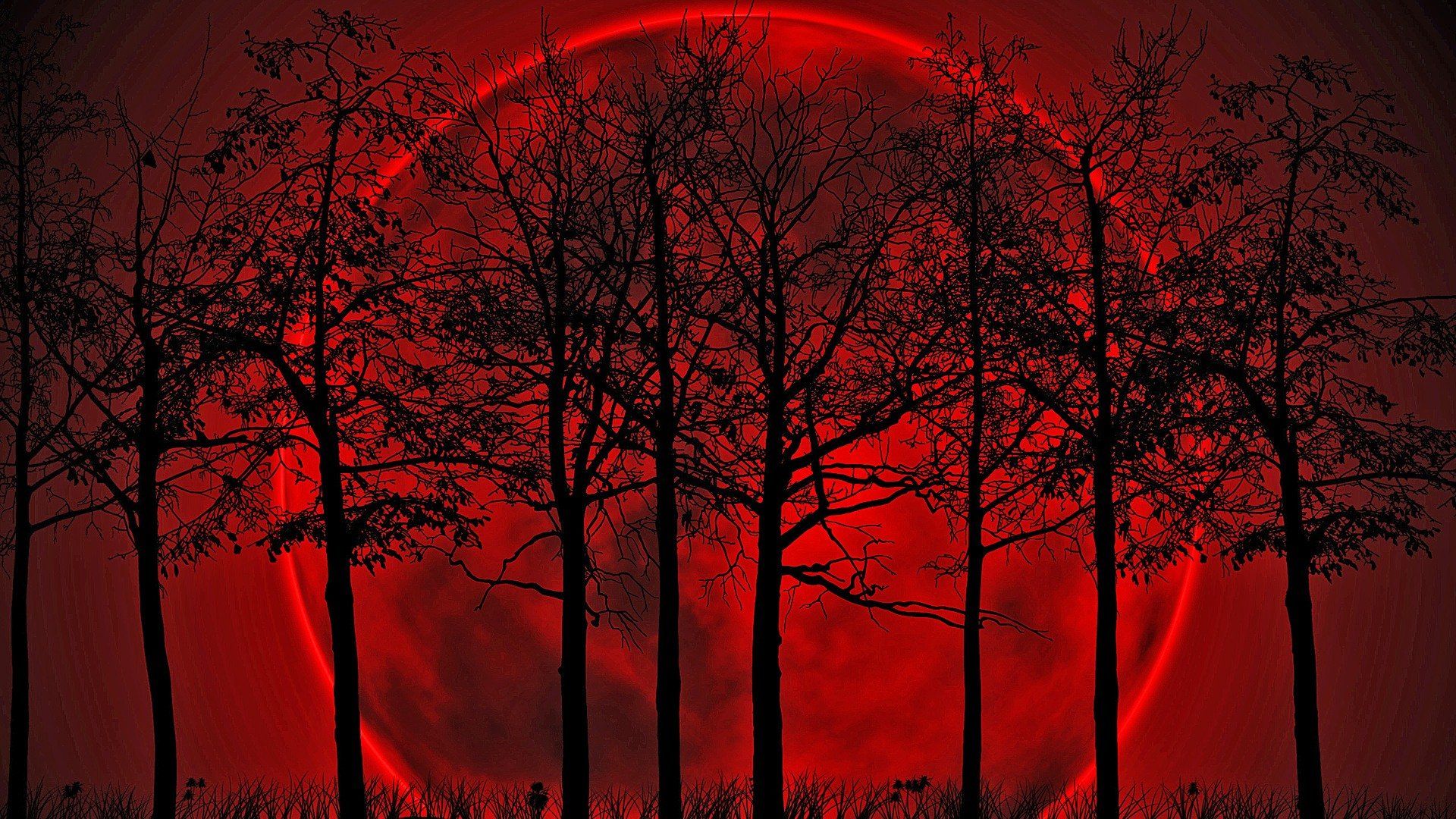 Red blood moon hd wallpaper