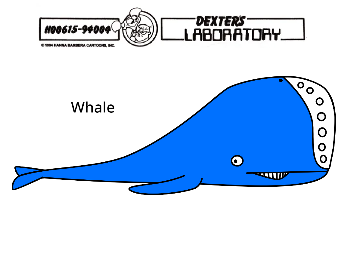Dl model coloring sheets whale by zippyzoomy on