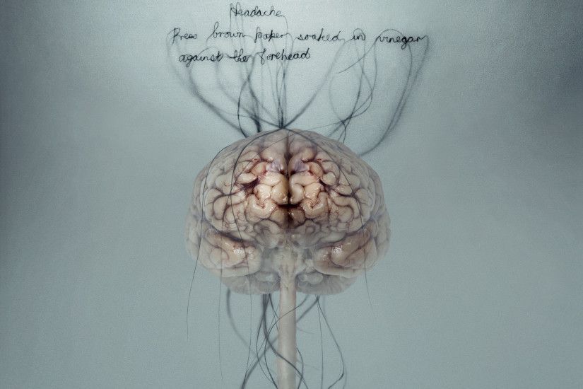 Head anatomy hd wallpaper brain wallpapers wallpapers â adorable wallpapers brain art brain anatomy science art
