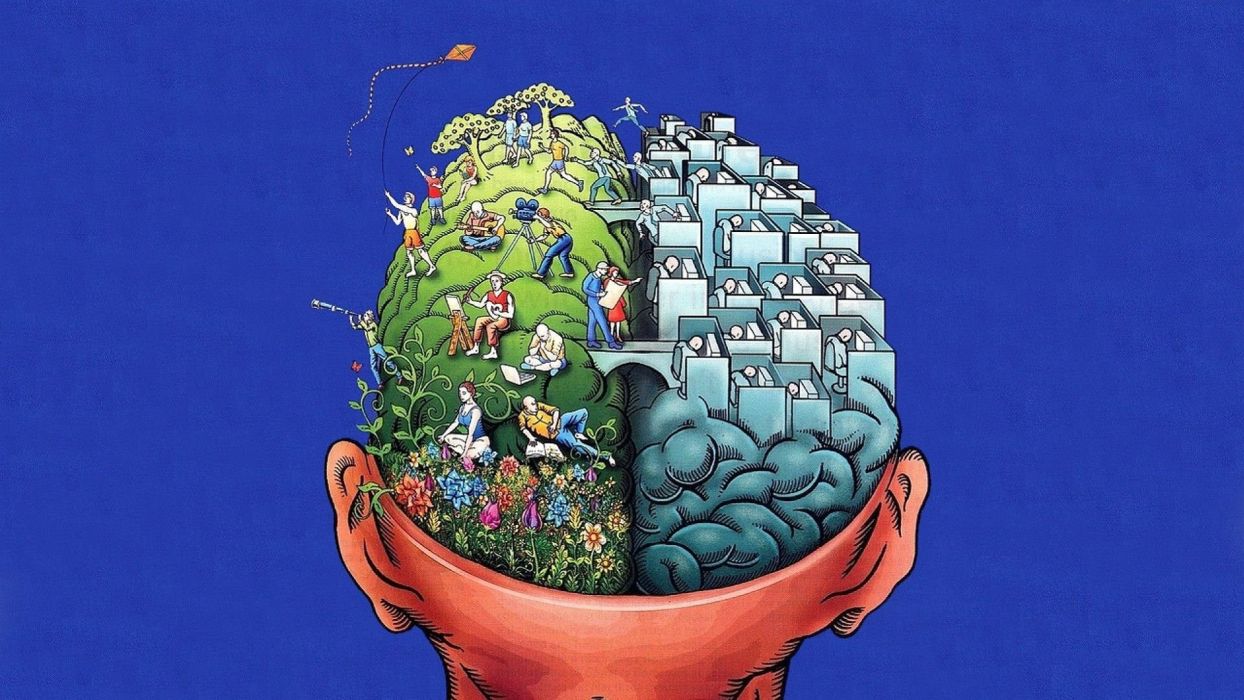 Brain anatomy medical head skull psychedelic wallpaper x