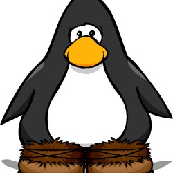 Categorybrown items club penguin wiki