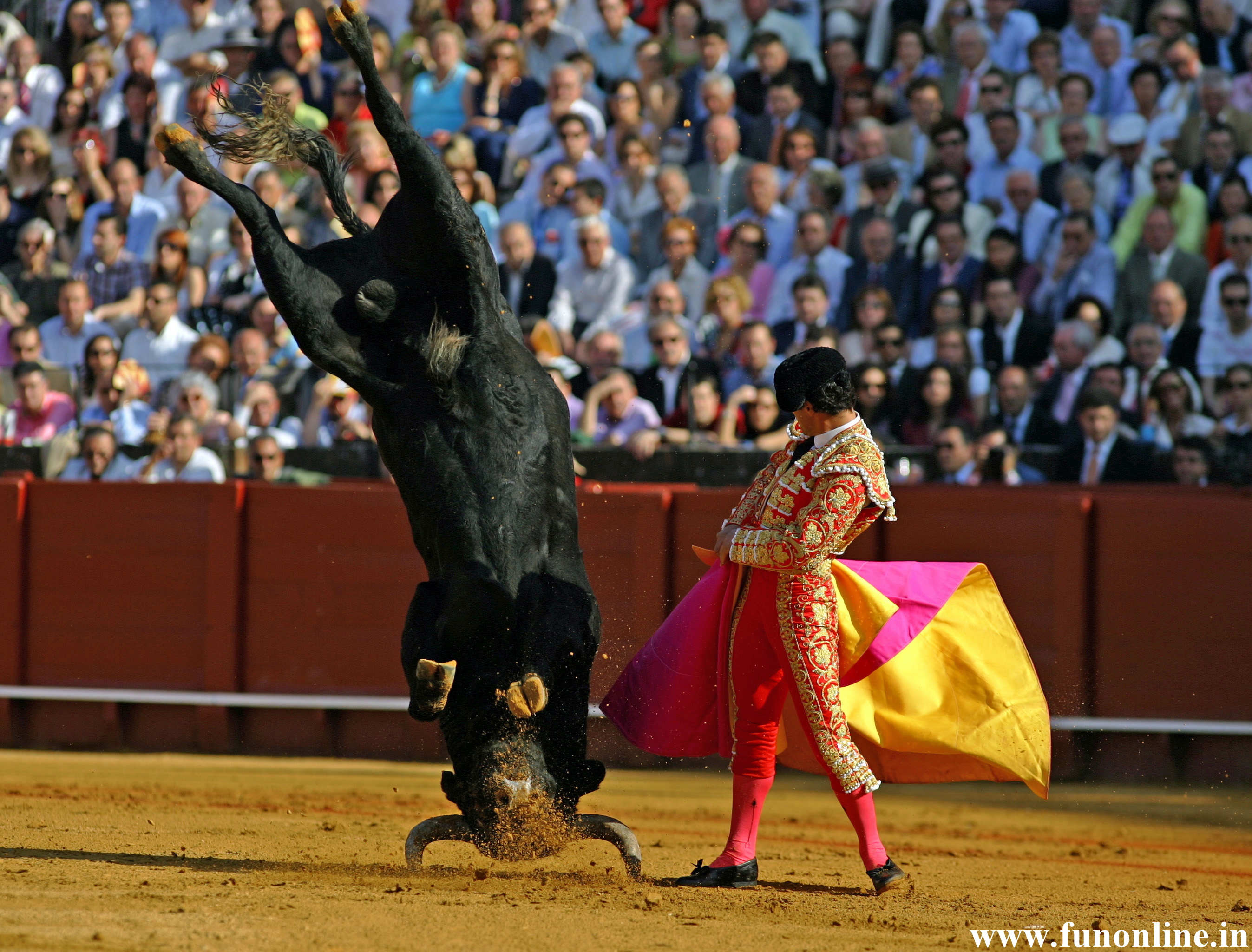 Bull fight wallpapers