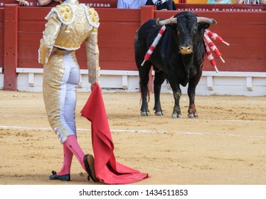 Bullfight images stock photos vectors