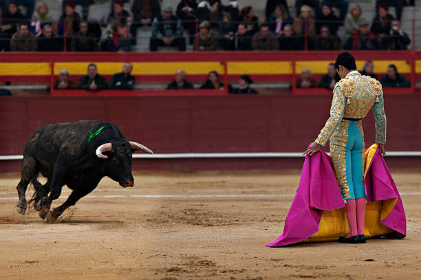 Bullfighter stock photos pictures royalty