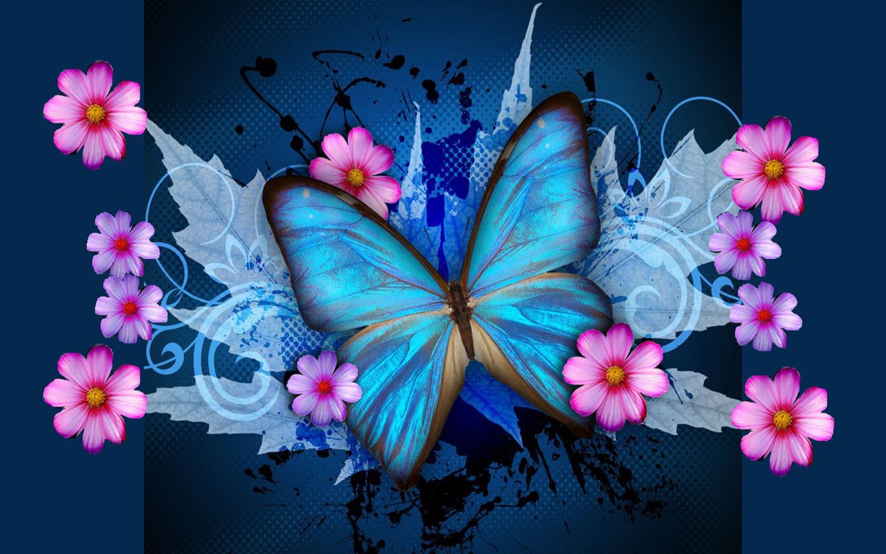 Butterfly sktop wallpaper image blue butterfly hd wallpapers butterfly art blue butterfly wallpaper butterfly wallpaper