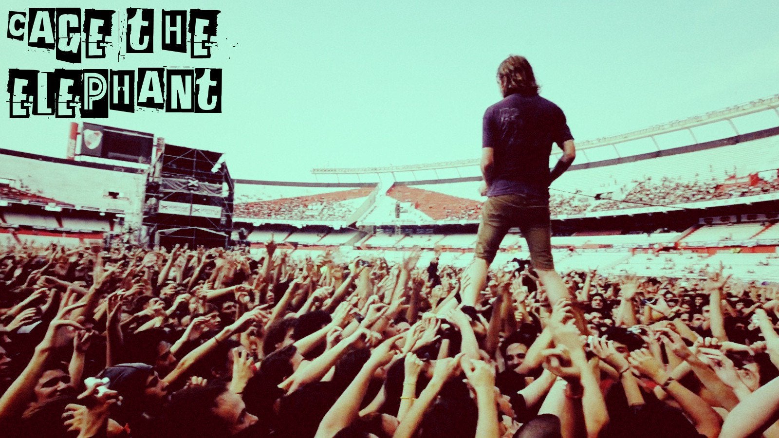 Any cage the elephant fans x rwallpapers