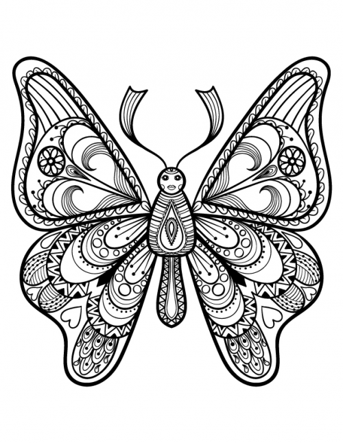 Advanced butterfly coloring page