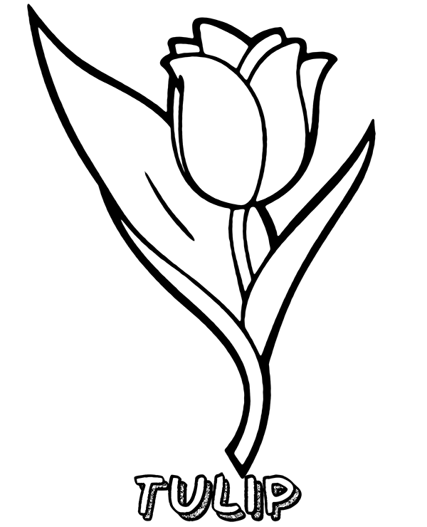 Coloring pages tulip flower coloring sheet printable