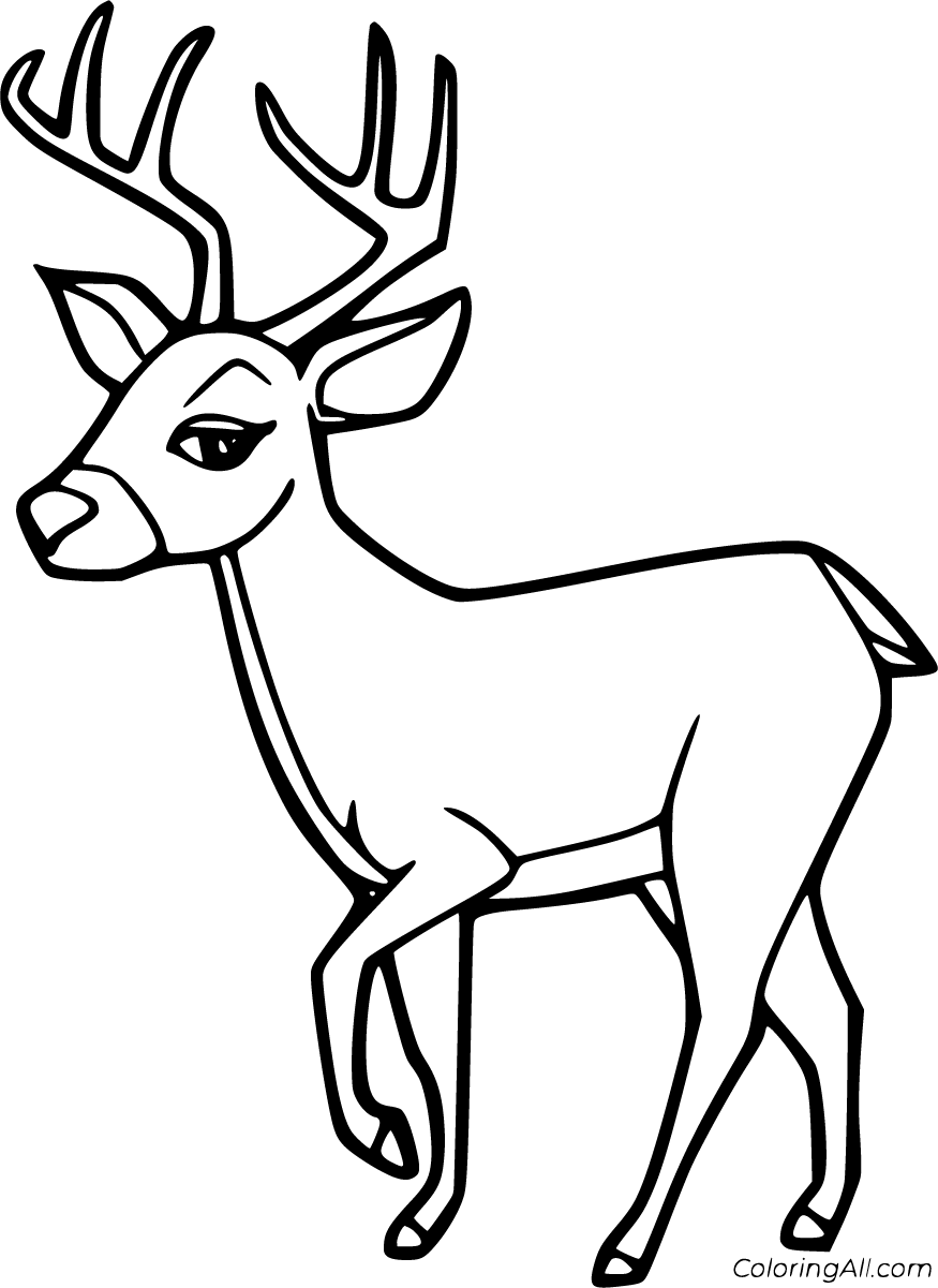 Free printable deer coloring pages in vector format easy to print from any device and automatically fit any pâ deer coloring pages coloring pages funny deer