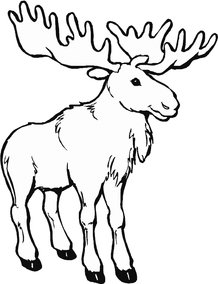 Caribou animals printable pages drawings and