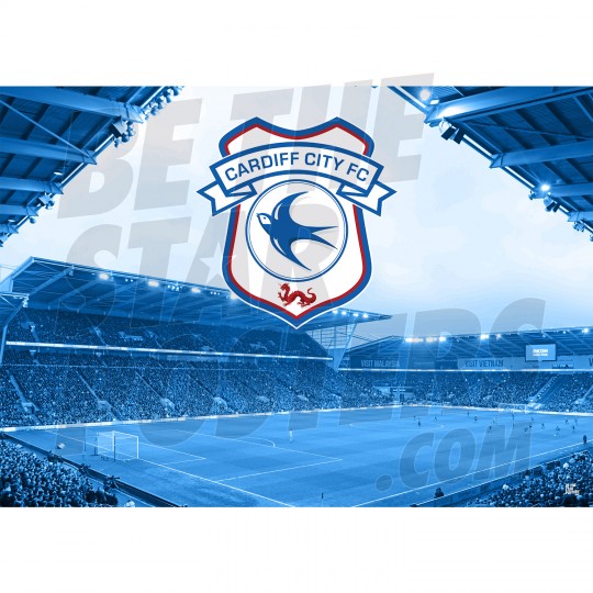 Free download Cardiff City Football Forum Cardiff City FC Messageboard View  [1024x576] for your Desktop, Mobile & Tablet, Explore 12+ Cardiff City F.C.  Wallpapers