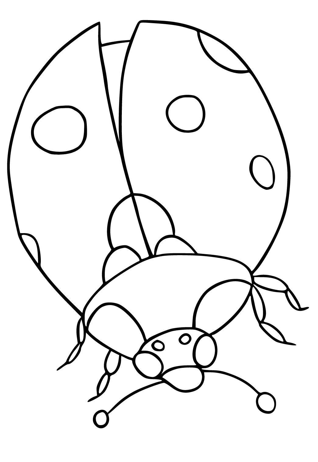 Free printable bug ladybug coloring page for adults and kids