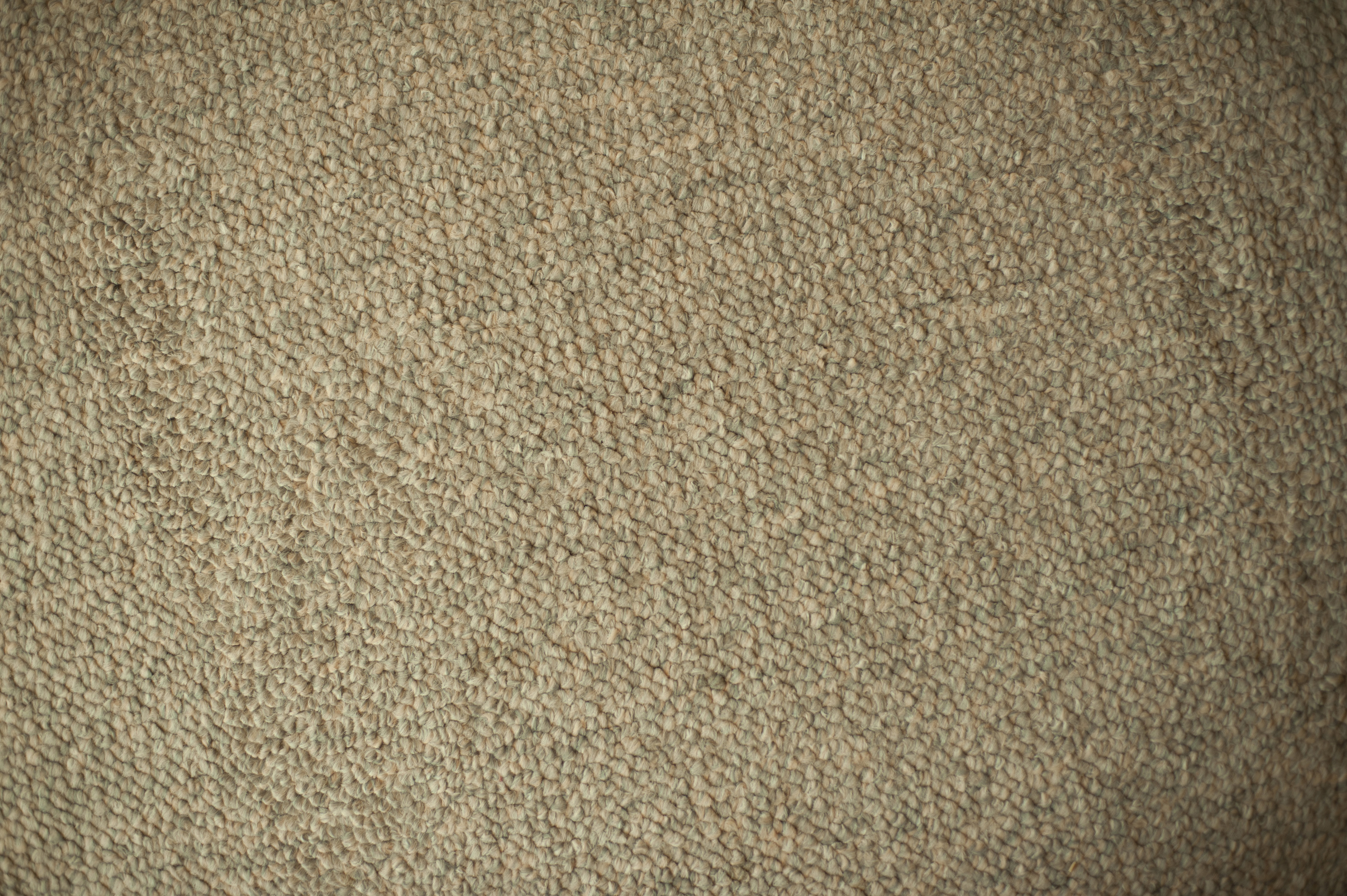 Free image of details of textured beige carpet for backgrounds