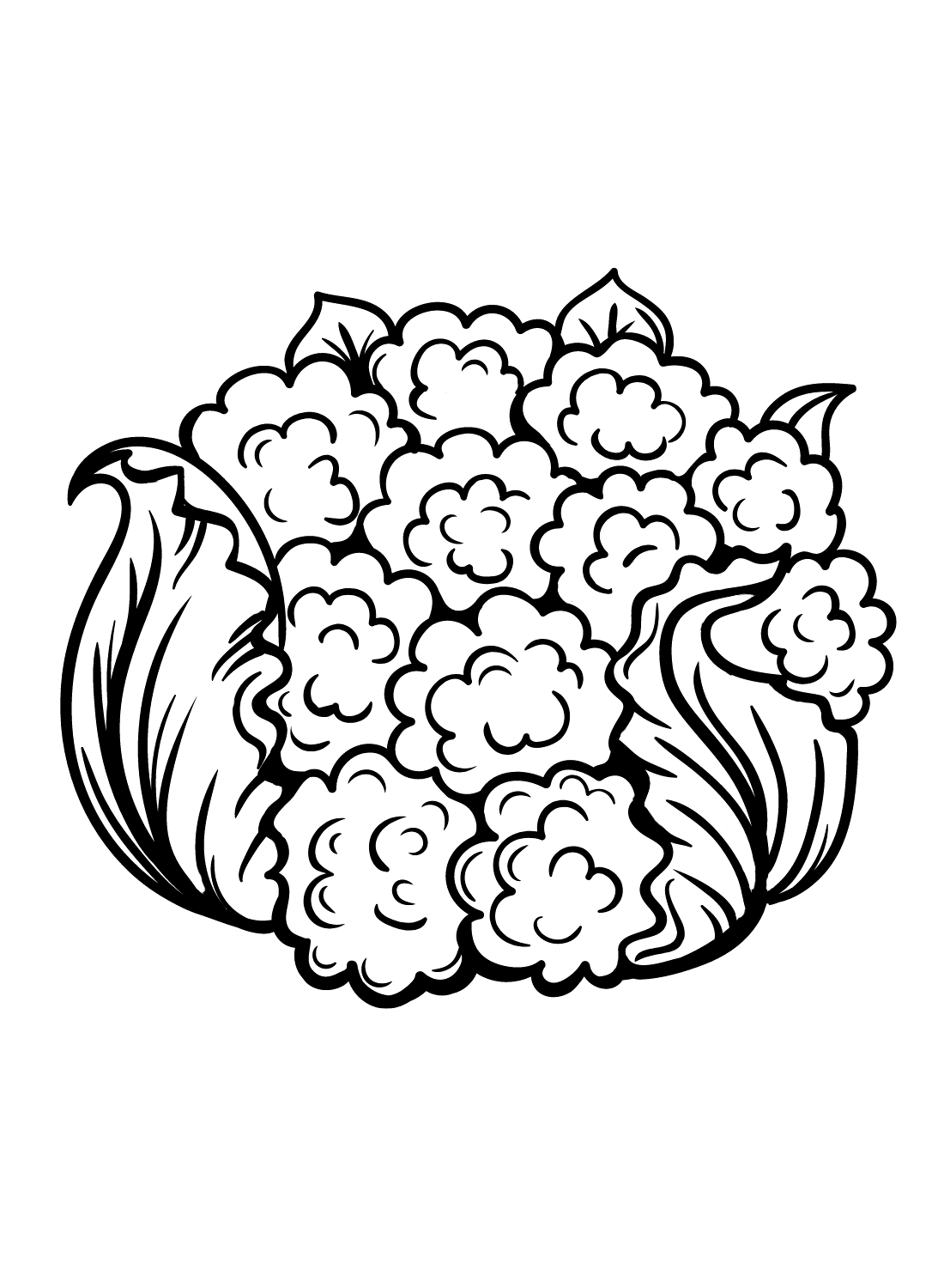 Cauliflower coloring pages printable for free download