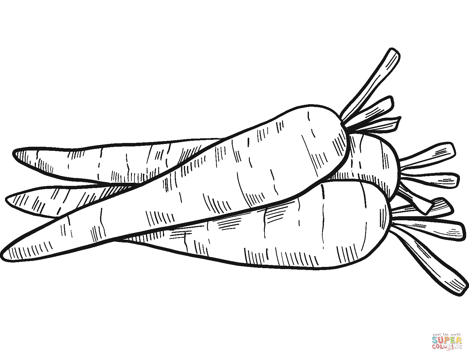 Carrots coloring page free printable coloring pages