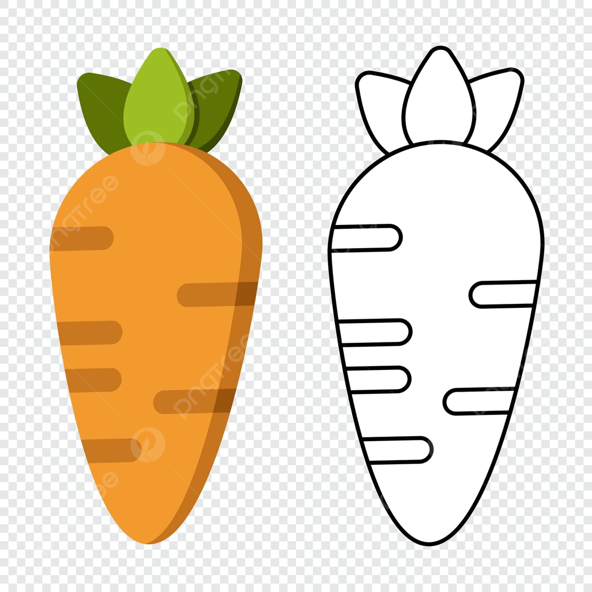 Juicy carrot coloring book for kids educating about fruits and vegetables vector cat drawing car drawing book drawing png and vector with transparent background for free download