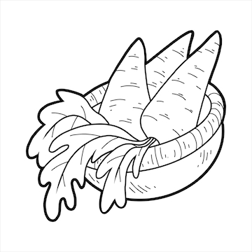 Premium vector coloring book for children carrots in a basket