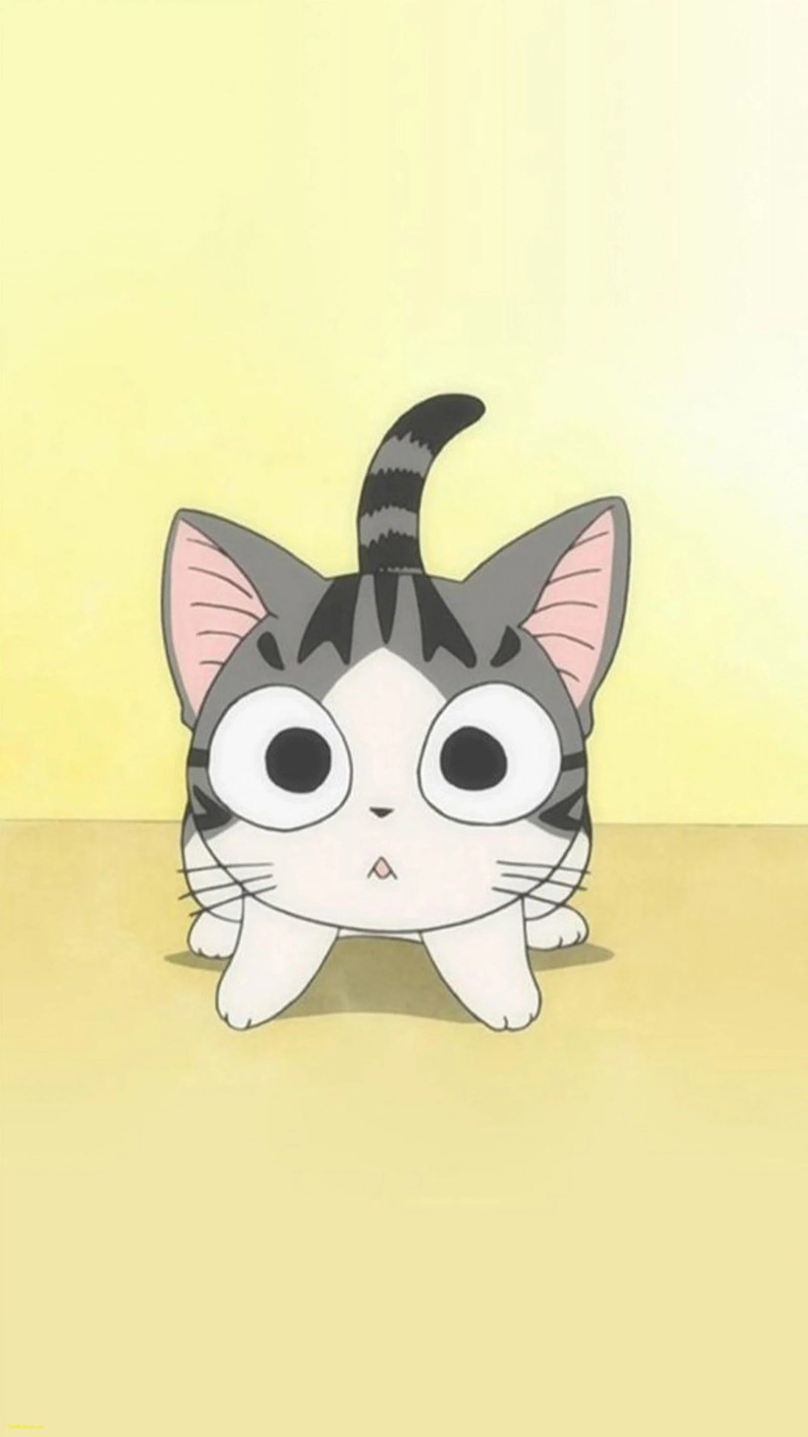 Cute cartoon cat wallpapers download
