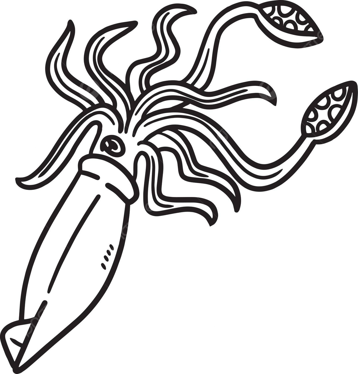 Giant squid coloring page for kids ocean graphic colouring page vector ocean drawing squid drawing ring drawing png and vector with transparent background for free download