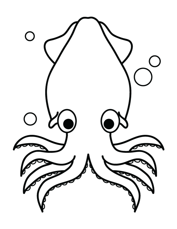 Free printable squid coloring page download it at httpsmuseprintablesdownloadcoloring