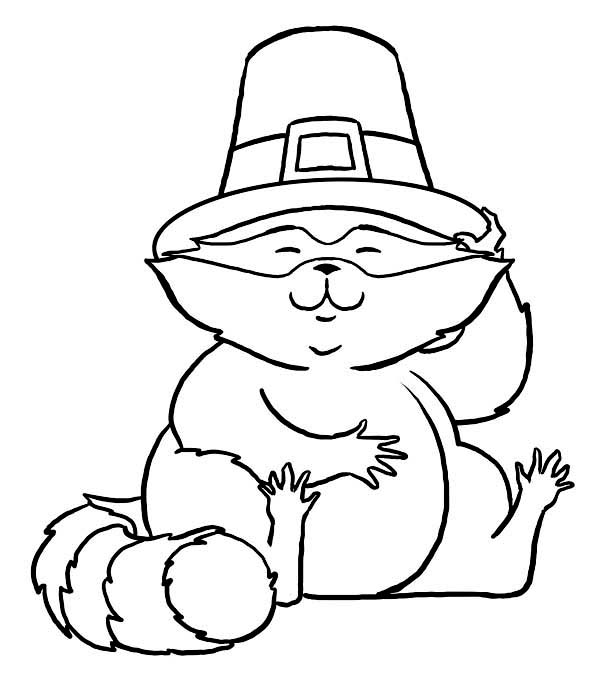 Hilarious thanksgiving coloring page cat rocking a pilgrim hat