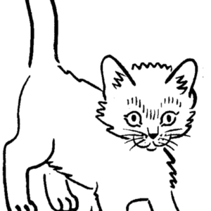 Kittens coloring pages printable for free download