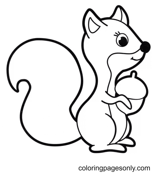 Squirrel coloring pages printable for free download