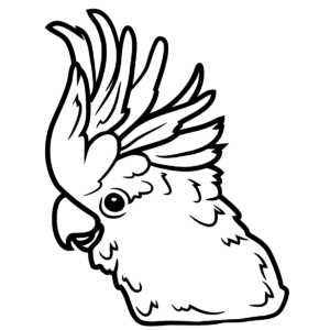 Cockatoo coloring pages printable for free download