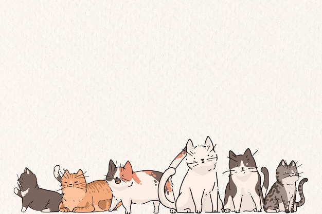 Cat wallpaper images
