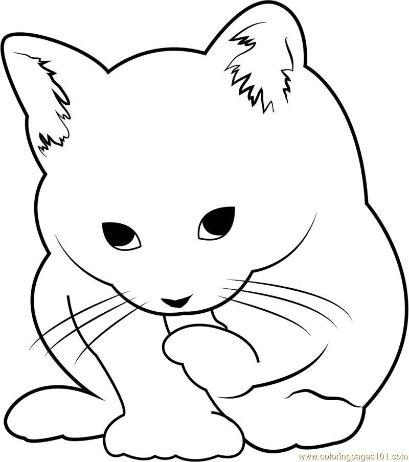 Small cute cat coloring page for kids