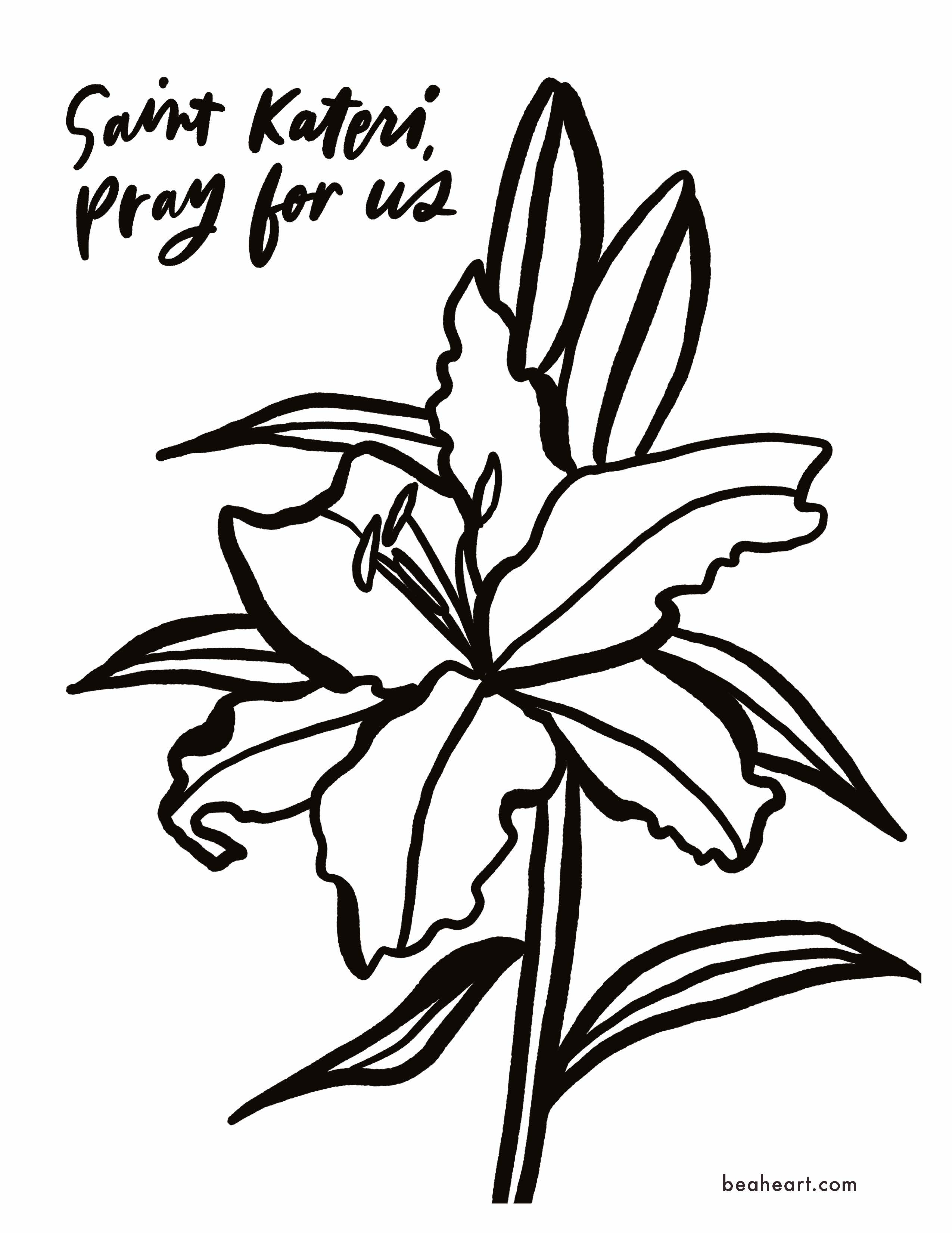 Free st kateris lily coloring page â be a heart