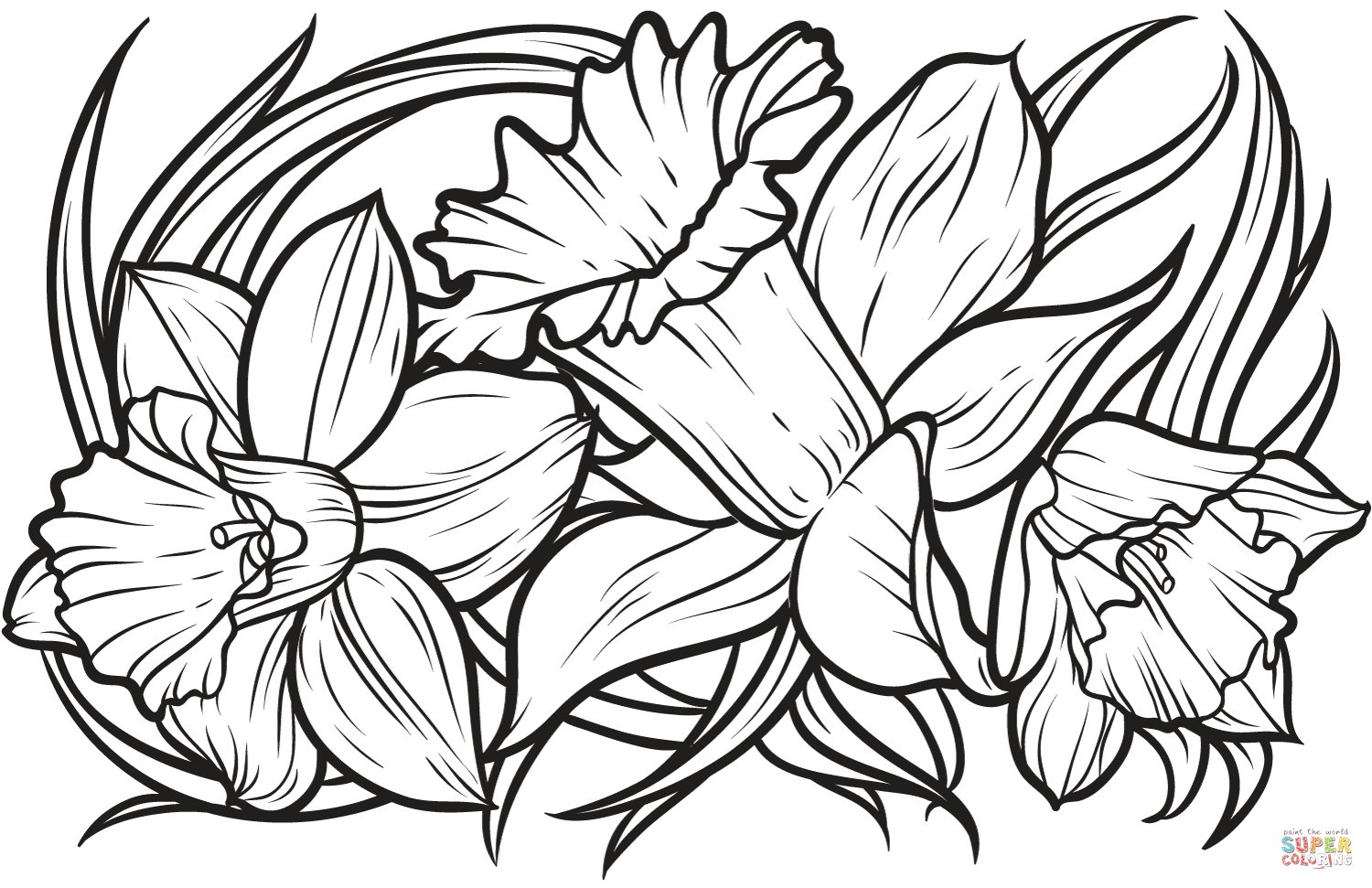 Daffodil coloring page free printable coloring pages easy coloring pages adult coloring pages coloring pages