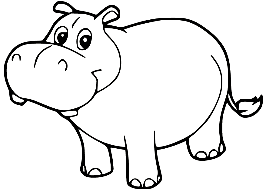 Hippo coloring pages printable for free download