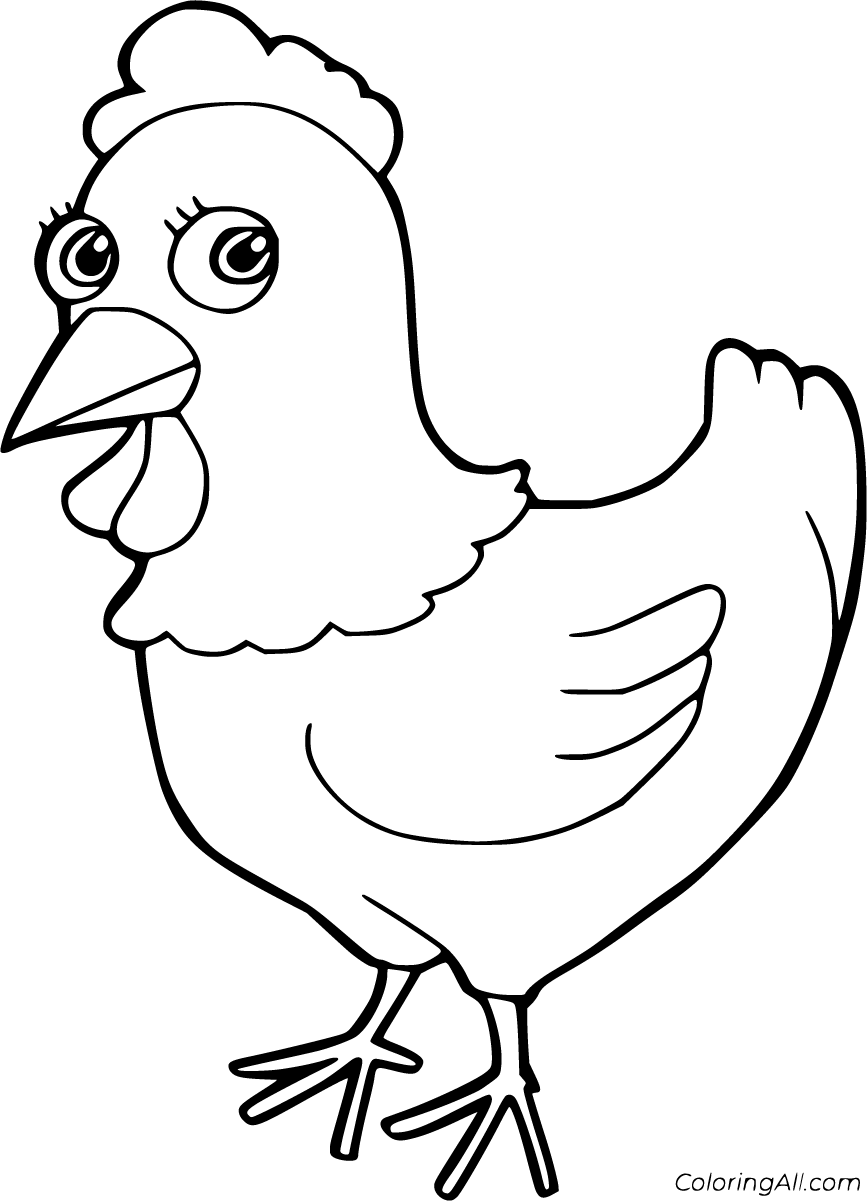 Hen coloring pages bird coloring pages chicken coloring pages coloring pages