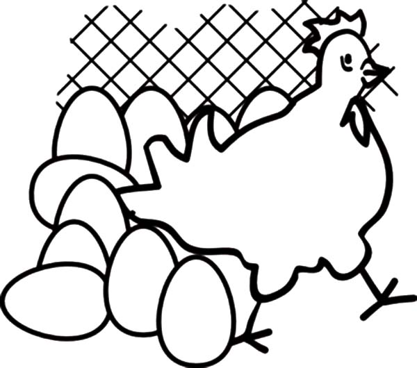 Hen leaving chicken egg in chicken coop coloring pages