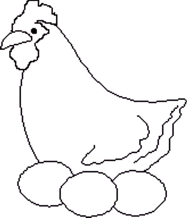 Hen and chicken egg coloring pages