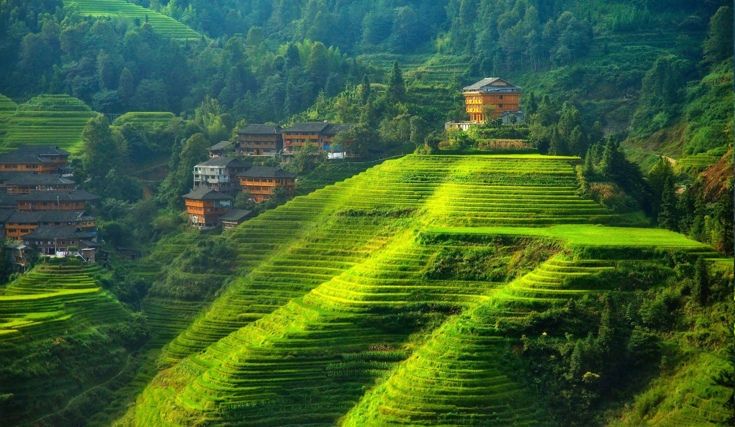Terraced field landscape hill china wallpapers hd desktop and mobile backgrounds