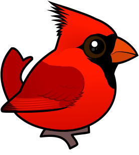 Cute northern cardinal by meet the birds