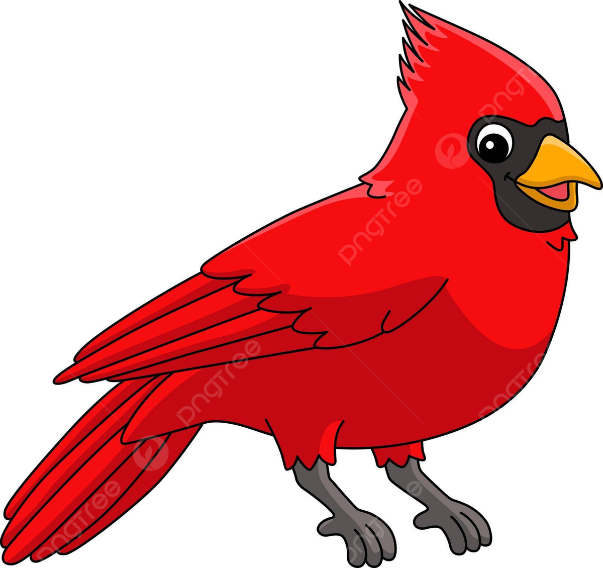 Cardinal animal cartoon colored clipart colorful doodle exotic bird vector colorful doodle exotic bird png and vector with transparent background for free download