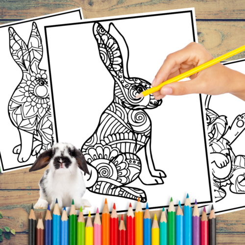 Rabbit zentangle coloring book for kidschinese new year mindfulness copy made by teachers