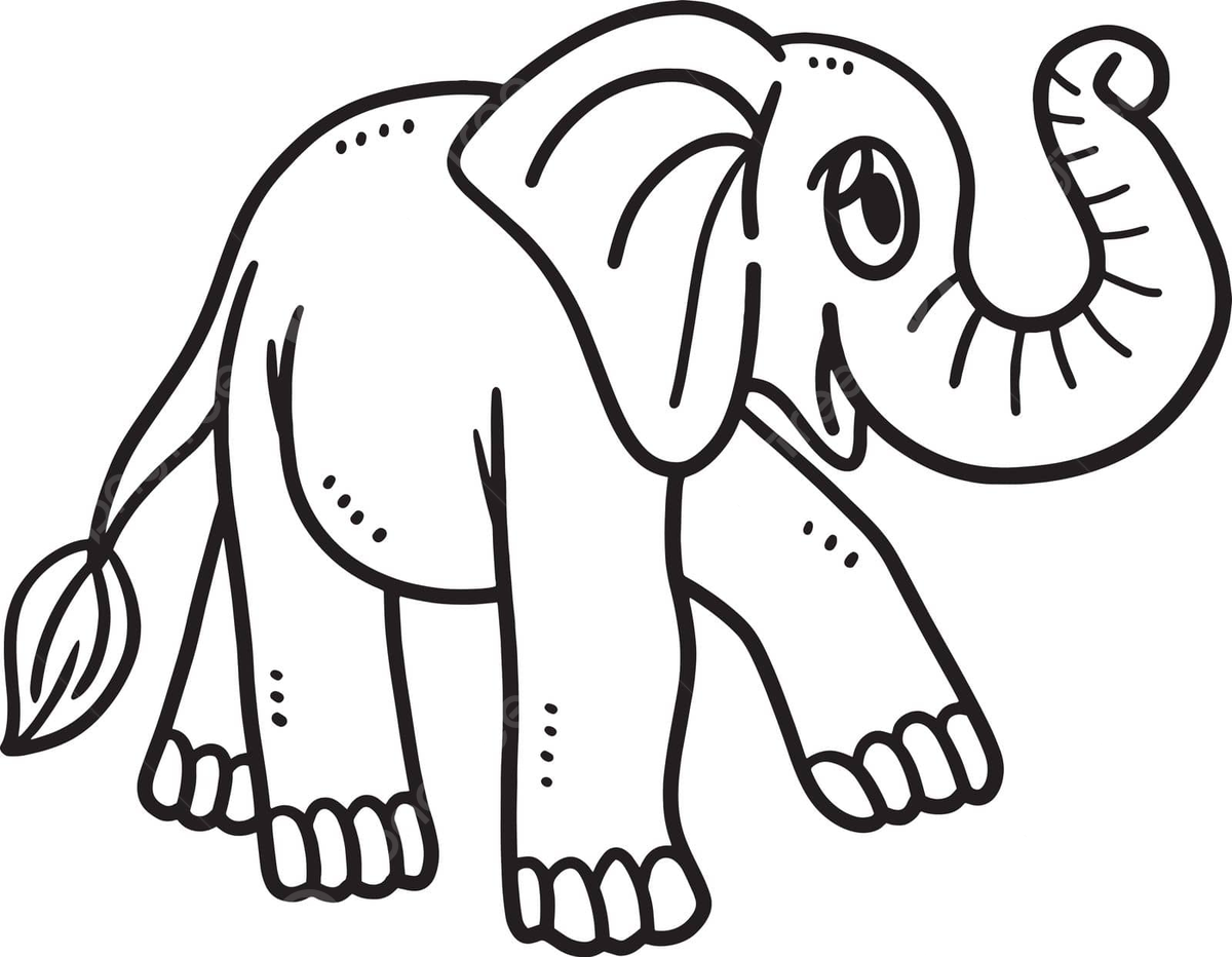 Baby elephant isolated coloring page for kids graphic colouring book coloring vector graphic colouring book coloring png and vector with transparent background for free download