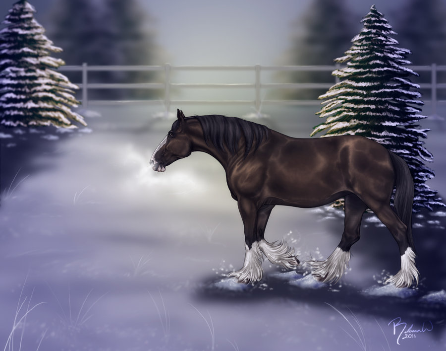 Free download budweiser clydesdales wallpaper christmas christmas clydesdale by x for your desktop mobile tablet explore budweiser clydesdale wallpaper budweiser wallpaper budweiser wallpapers clydesdale wallpaper