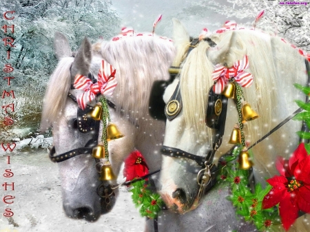Christmas horses