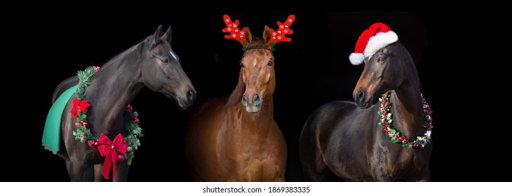 Christmas horse images stock photos vectors