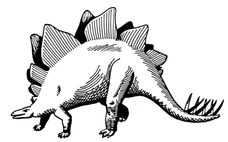 Stegosaurus appearance facts size