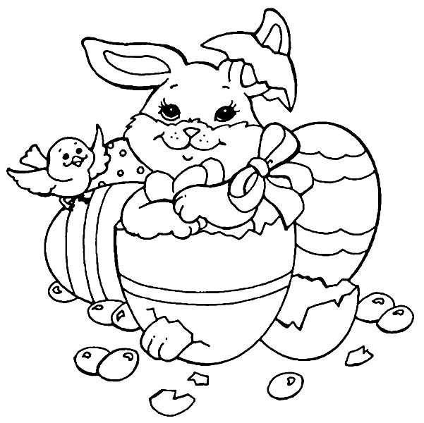 Desenhos do coelho da pãscoa para colorir e imprimir