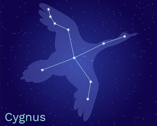 Cygnus cisne constelaciãn vector de seãal con silueta animal vector premium