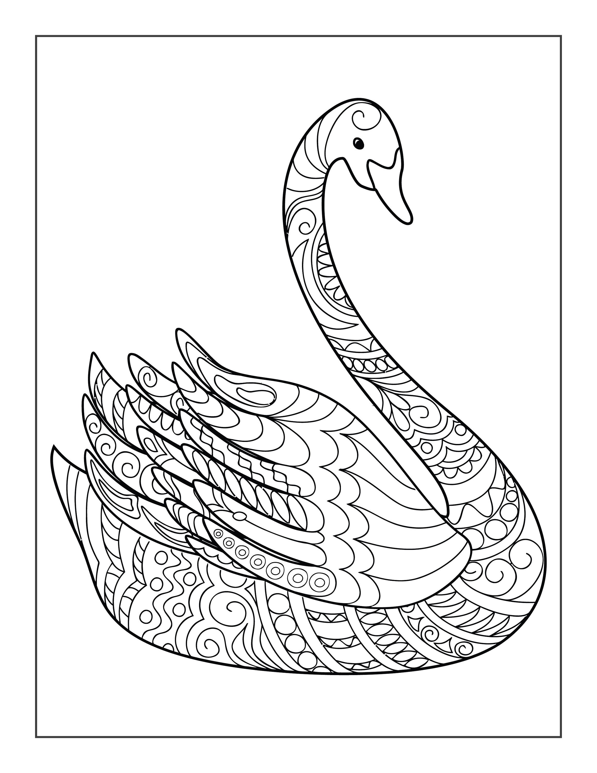 Dibujos imprimibles de cisne para colorear para niãos y adultos