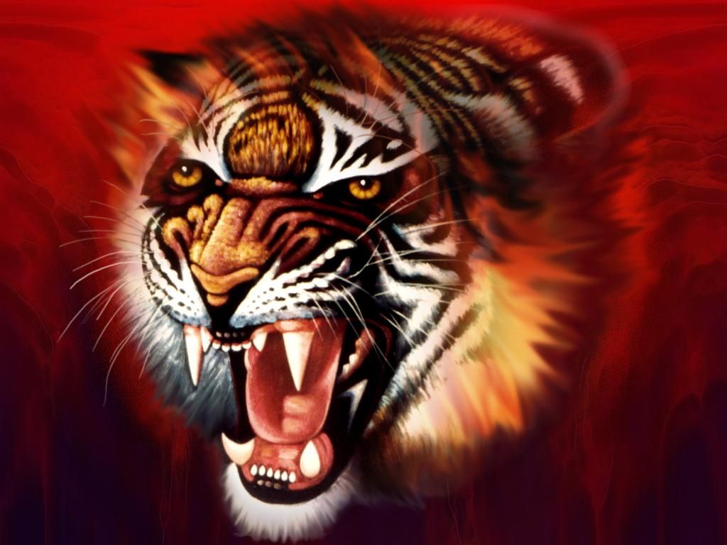 Tiger d hd desktop wallpapers