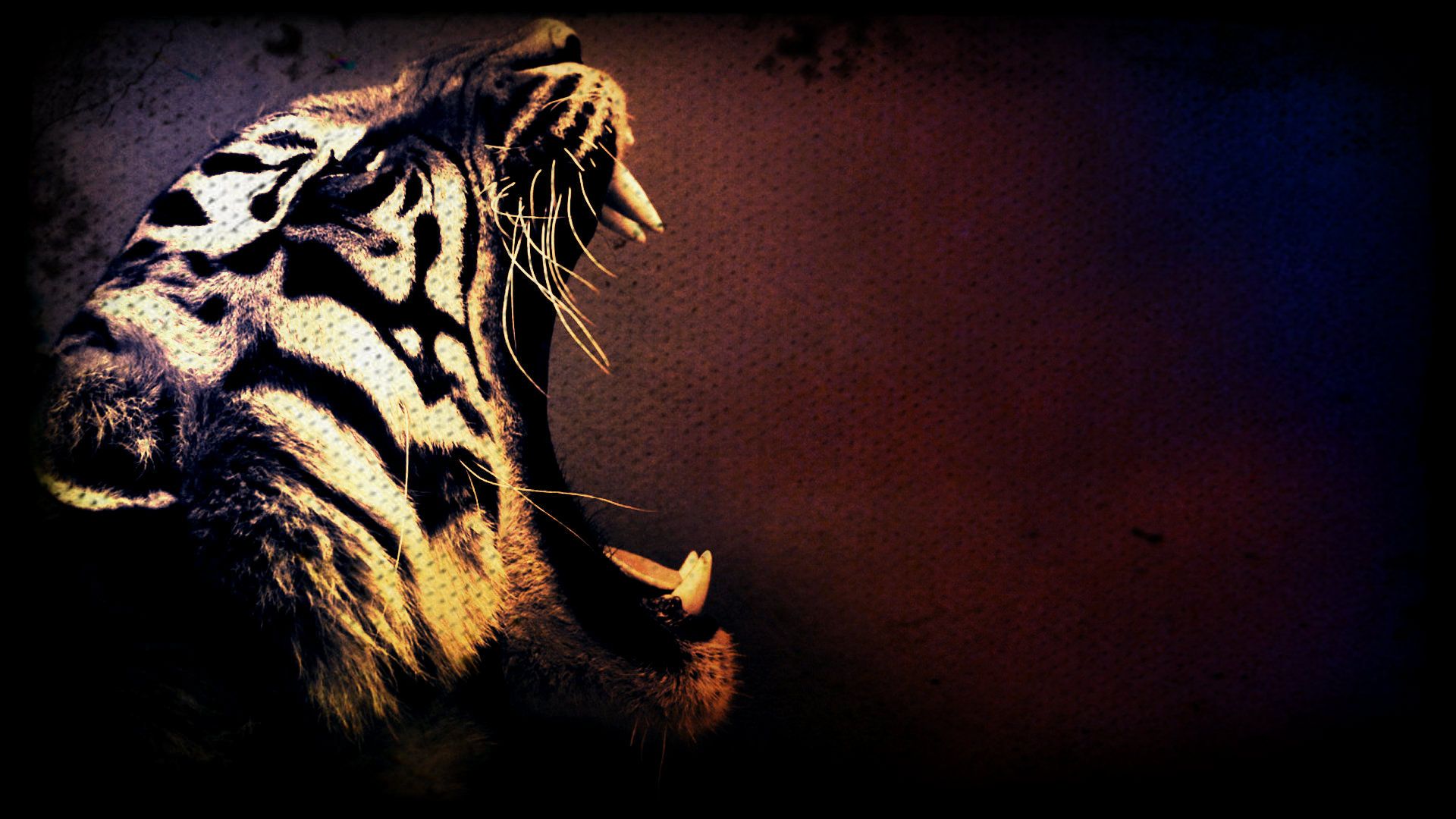 Tiger art wallpaper x tiger art tiger pictures tiger wallpaper